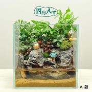 四时八节 水陆生态微景观 苔藓超白缸 创意礼物 龙猫盆栽 成品