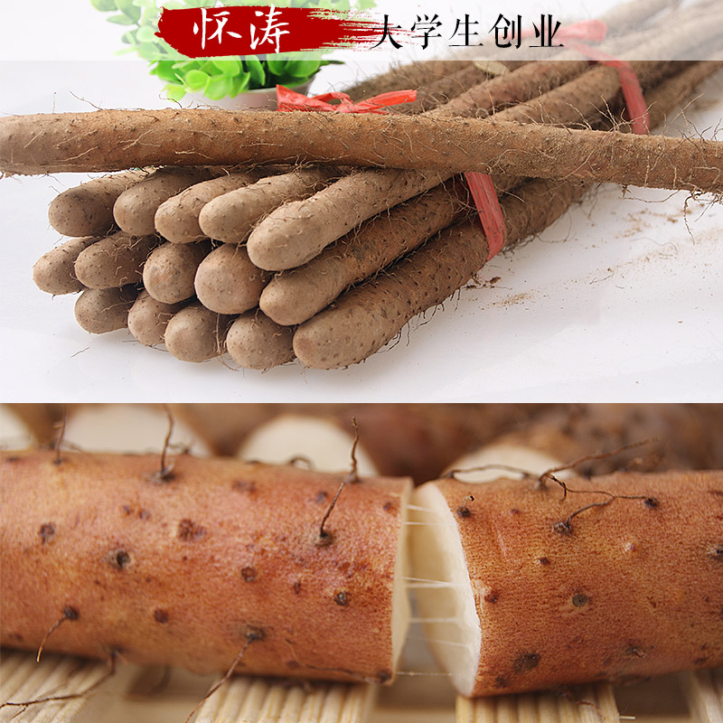 怀涛正宗河南焦作温县新鲜沙土铁棍山药淮怀山药5斤新鲜铁杆山约在类目 传统滋补营养品, 山药中 - 来自Buy2taobao.com提供专业的淘宝代购服务