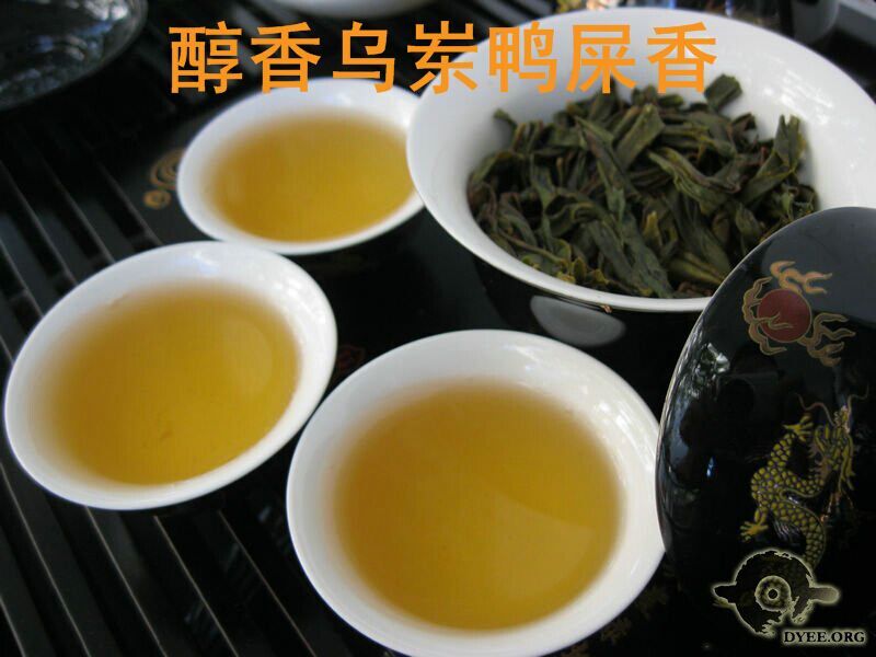今年春茶鸭屎香上市 潮州凤凰单丛茶 碳焙醇香乌岽鸭屎香单丛茶