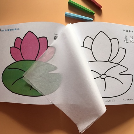 幼儿蒙纸学绘画