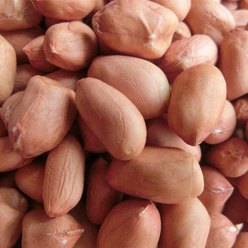 Keep one's own seed Dried peanuts Raw peanuts Peanuts Germination 5 pounds 500g/ Sharein the Agri rice/Dried foods/Condiment , Meter/Flour/Grains , Other food category - from Buy2taobao.com to provide professional Taobao agent buy service