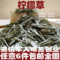 上下架计划:任意6件包邮 柠檬草茶 50g进口迷迭香马鞭草 瘦腿茶 三草茶花草茶