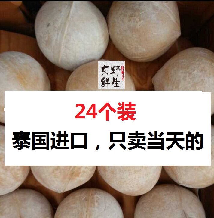 泰国进口椰子新鲜水果24个正宗进口椰皇广东顺丰包邮