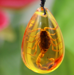 天然蝎子琥珀项链真昆虫标本吊坠创意装饰品生日节日礼物