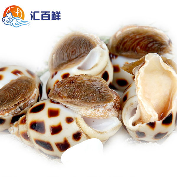 北京閃送越南鮮活花螺清炒白灼冰鎮營養美味特價500g在類目 水產肉類/新鮮蔬果/熟食, 海鮮/水產品/製品, 貝類, 貝類製品中 - 來自Buy2taobao.com提供專業的淘寶代購服務