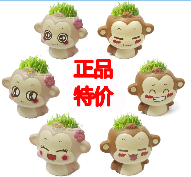 办公室植物桌面绿植小盆栽创意迷你草头娃娃六一礼品DIY种植礼物|msdalam kategori penghantaran bunga/bunga simulasi/tumbuhan berkebun, Plants Mini kreatif - dari Buy2taobao.com untuk memberikan perkhidmatan ejen Taobao profesional membeli