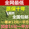 上下架计划:加密人造草坪 仿真草坪 塑料假草坪草皮 幼儿园专用草坪地毯批发