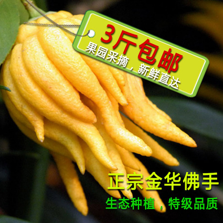 金佛手