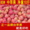 上下架计划:年货礼品山东特产苹果水果新鲜烟台红富士苹果直销批发 10斤包邮