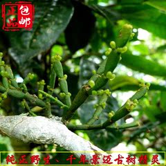 性感肚皮头像女性感动漫美女肚皮舞接吻1美女舞极品a性感图片