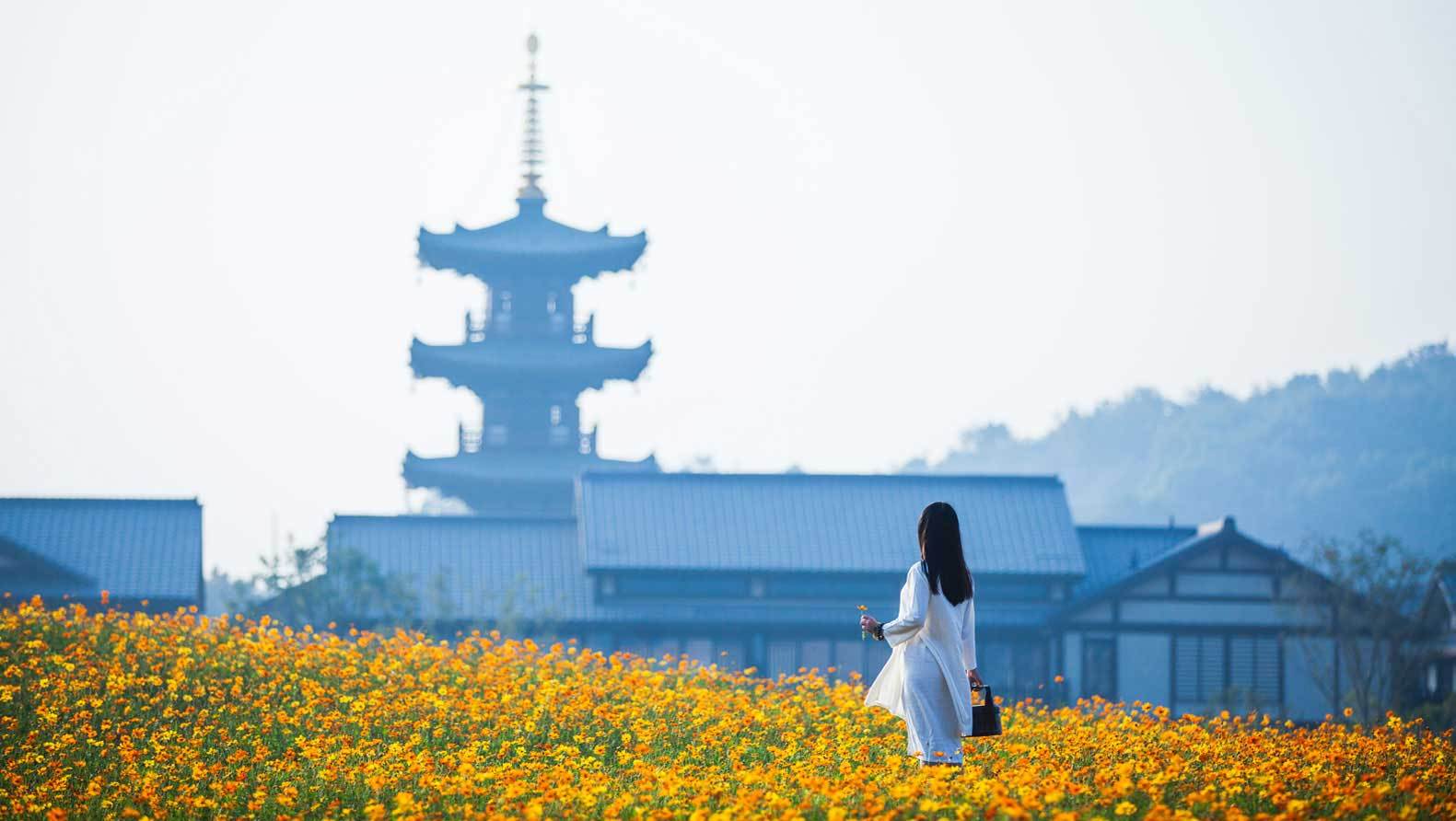 无锡+灵山拈花湾2日1晚【宿拈花湾5星客栈 赏《禅行》灯光秀】|ruв категории праздник линий/отправить закрыть визы/служба туризма, свободной линии/с Миссией плавать, в стране с Миссией плавать - от Buy2taobao.com для оказания профессиональной услуги покупки агента Taobao