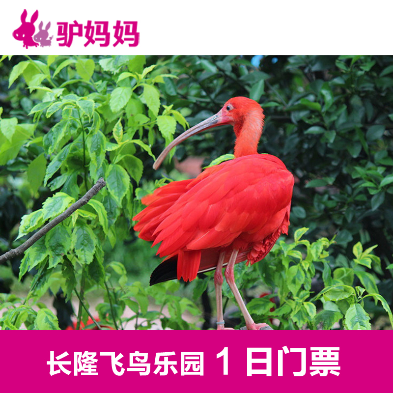 【电子票】广州长隆飞鸟乐园门票 长隆鳄鱼公园成人票在类目 景点门票/实景演出/主题乐园, 国内票务中 - 来自Buy2taobao.com提供专业的淘宝代购服务