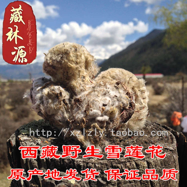 西藏特产纯野生绵头天山雪莲花 无法人工种植 产地发货 半斤包邮|ruв категории традиционные питательный пища, другие традиционные тоник, другие традиционные тоник - от Buy2taobao.com для оказания профессиональной услуги покупки агента Taobao