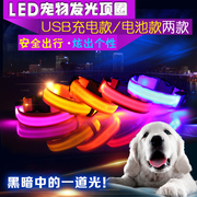 led发光宠物项圈脖圈泰迪，比熊金毛狗狗夜光，项圈闪光颈圈宠物用品