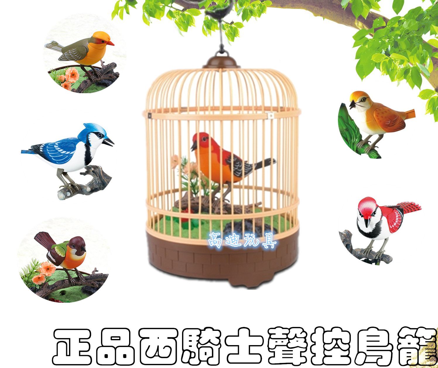 西骑士仿真声控小鸟电动感应鹦鹉鸟会叫会动声控鸟笼儿童玩具摆饰在类目 玩具/童车/益智/积木/模型, 电动/遥控/惯性/发条玩具, 电动/遥控动物/人物中 - 来自Buy2taobao.com提供专业的淘宝代购服务