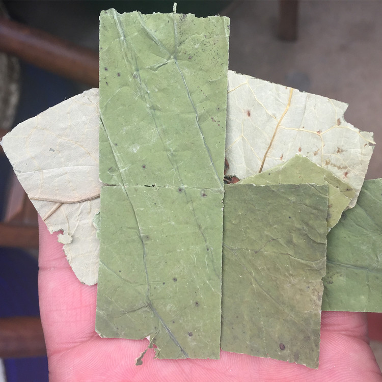 野生荷叶茶荷叶片条花草茶荷叶干切片农家50克在类目 茶, 代用/花草/水果/再加工茶, 代用/花草茶中 - 来自Buy2taobao.com提供专业的淘宝代购服务
