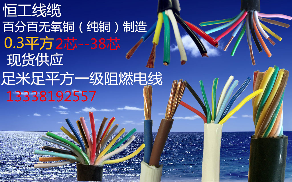 国标阻燃控制信号电缆线KVVR RVV 0.3平方2 3 8 16 18 25 32 38芯在类目 电子/电工, 电线, 护套线中 - 来自Buy2taobao.com提供专业的淘宝代购服务