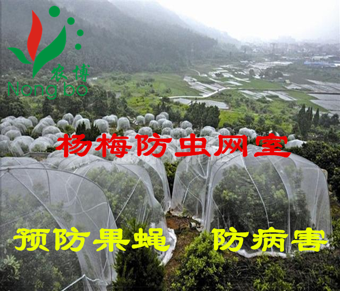 抗老化40目防蟲網 大棚蔬菜臍橙防蟲網果樹防蟲絲網 楊梅防蟲網罩在類目 農機/農具/農膜, 農膜/篷布/遮網/大棚, 農用防蟲網中 - 來自Buy2taobao.com提供專業的淘寶代購服務