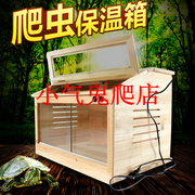 陆龟蜥蜴爬虫斜面杉木箱爬虫冬季保温饲养箱送玻璃80x40x40