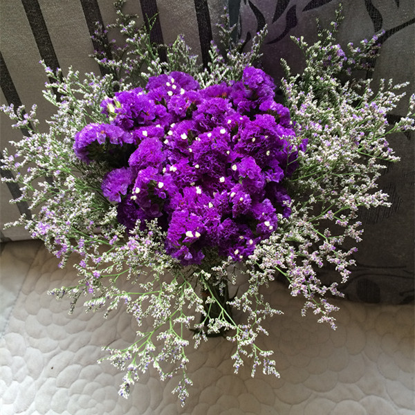 勿忘我干花搭配情人草 摆设花束永生花材料节日礼物花卉|msdalam kategori Aksesori rumah, pasu/bunga/bunga tiruan/perhiasan imitasi, bunga kering/Petal/pakej bunga kering/ranting kering - dari Buy2taobao.com untuk memberikan perkhidmatan ejen Taobao profesional membeli