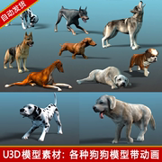 unity3d写实可爱狗犬dog动物，骨骼动画动作u3d游戏美术模型素材包