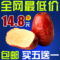 上下架计划:新疆和田大枣 特级三星红枣子 超四星玉枣500g包邮 一级枣类制品