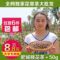 上下架计划:任意6件包邮 桃花茶特级干桃花 祛斑 排毒 通便 花茶 花草茶 月季