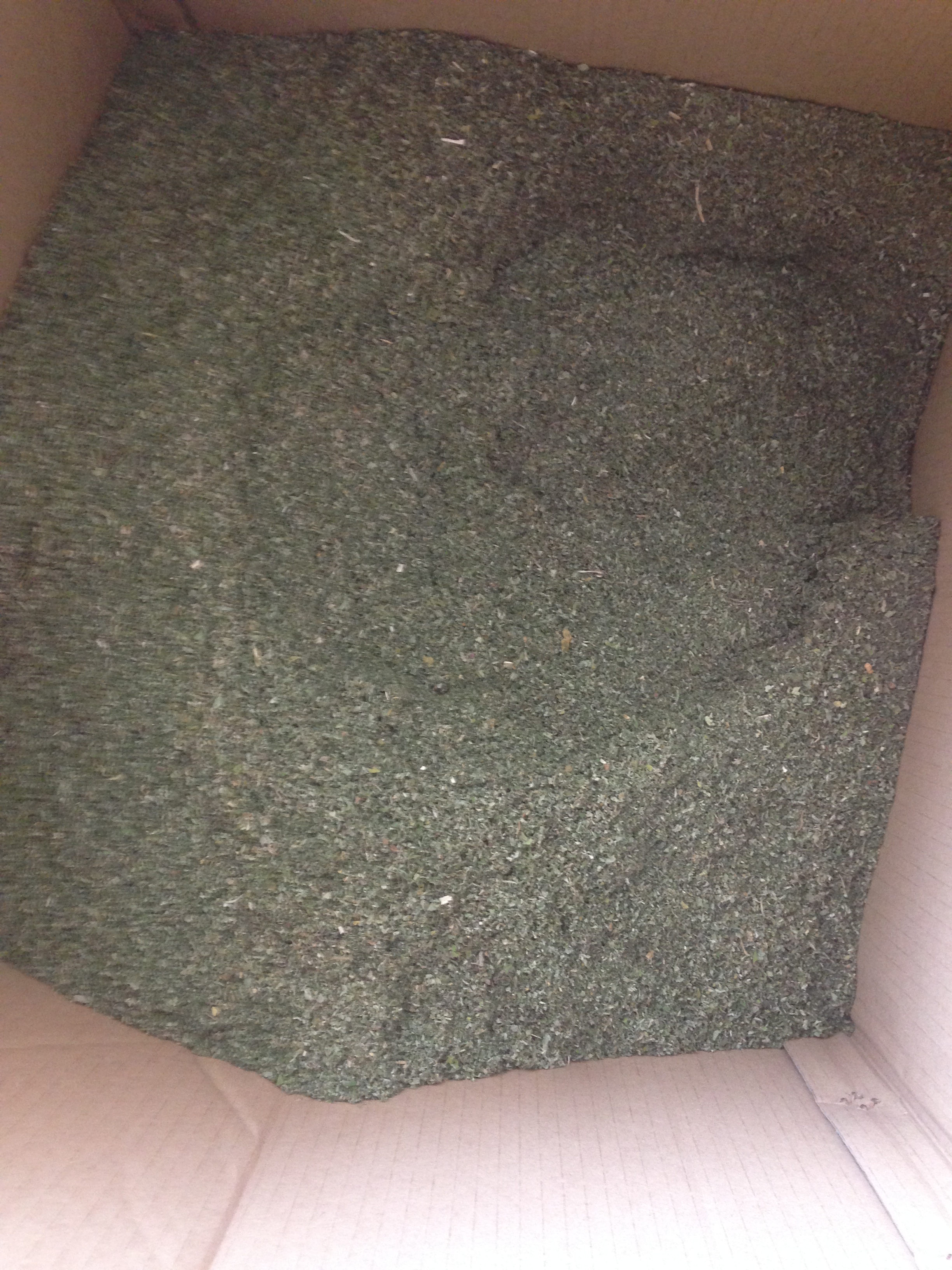 基地直供猫薄荷粉猫草猫咪最爱满十公斤以上江浙沪包邮50/公斤|ruв категории животное/Животное питание и принадлежностей, кошка закуски - от Buy2taobao.com для оказания профессиональной услуги покупки агента Taobao