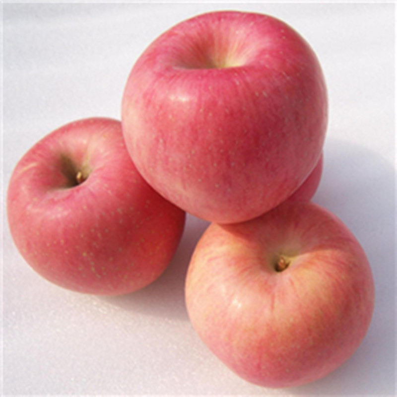 fresh fruit Shandong Yantai apple Gala apples Jinshuai Red Fuji Farm-grown 4 pounds loadedin the Aquatic meat/Fresh fruits and vegetables/Cooked , Fresh fruit , Apple category - from Buy2taobao.com to provide professional Taobao agent buy service