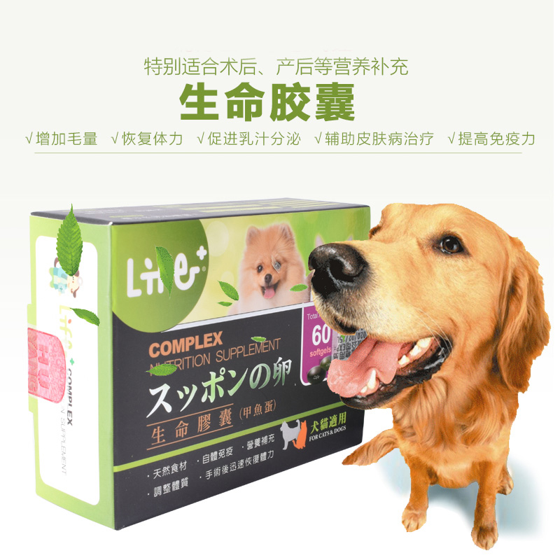 Life capsule Turtle eggs Kitty Dogs Nutrition supplement Beauty hair Hairy Postoperative Pregnant Puppiesin the Pet/Pet food and supplies , Cat/Dog health care products category - from Buy2taobao.com to provide professional Taobao agent buy service