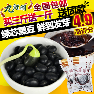 买3送1包邮 黑豆 绿芯黑豆东北农家黑豆青仁乌豆粗粮豆类杂粮500g