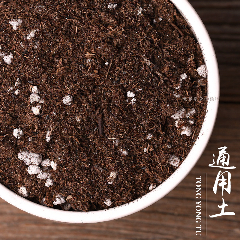 包邮花卉绿植多肉盆栽营养土大包种植养花种菜有机土泥炭育苗肥料在类目 鲜花速递/花卉仿真/绿植园艺, 园艺用品, 家庭园艺肥料/营养土/营养液中 - 来自Buy2taobao.com提供专业的淘宝代购服务