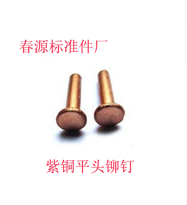 实心铆钉 平头 半圆头 沉头平锥头紫铜铆钉M3*4 M4*8*30 厂家直销在类目 五金/工具, 紧固件, 铆钉, 平头铆钉中 - 来自Buy2taobao.com提供专业的淘宝代购服务