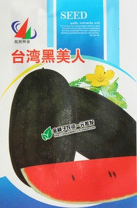 台湾黑美人西瓜 6斤重礼品小西瓜种 阳台种西