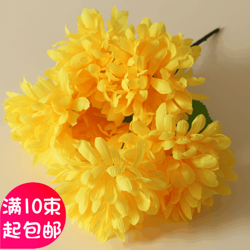 假菊花