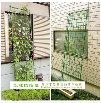 包郵遮陽爬藤花架植物攀爬支爬藤花支架支柱百香果花架綠窗簾在類目 鮮花速遞/花卉仿真/綠植園藝, 園藝用品, 其它園藝用品中 - 來自Buy2taobao.com提供專業的淘寶代購服務