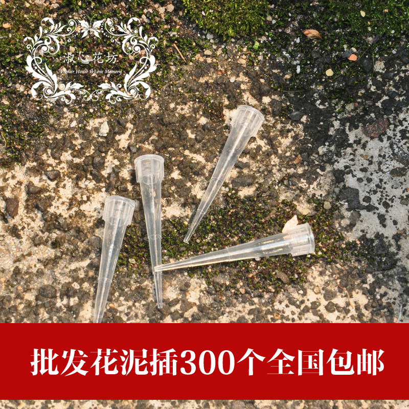 Flower Geeks DIY tool flower arrangement Dedicated Flower mud trumpet Eternal life FlowerBox make quality goodsin the Flower delivery/Flowers simulation/Plants gardening , Spend eternity/Dried flowers , Spend eternity category - from Buy2taobao.com to provide professional Taobao agent buy service