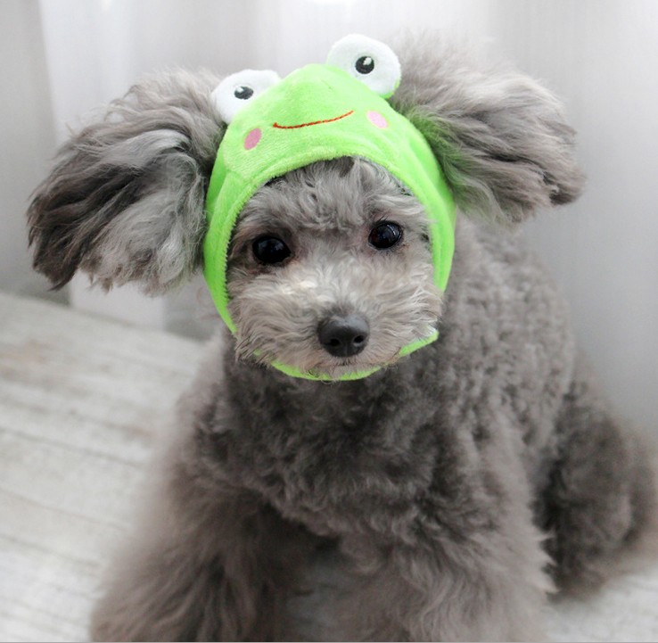 Petstyle宠物小狗帽子Q萌动物园变身帽 带耳朵猪狗鸡兔青蛙熊猫在类目 宠物/宠物食品及用品, 宠物服饰及配件, 帽子中 - 来自Buy2taobao.com提供专业的淘宝代购服务