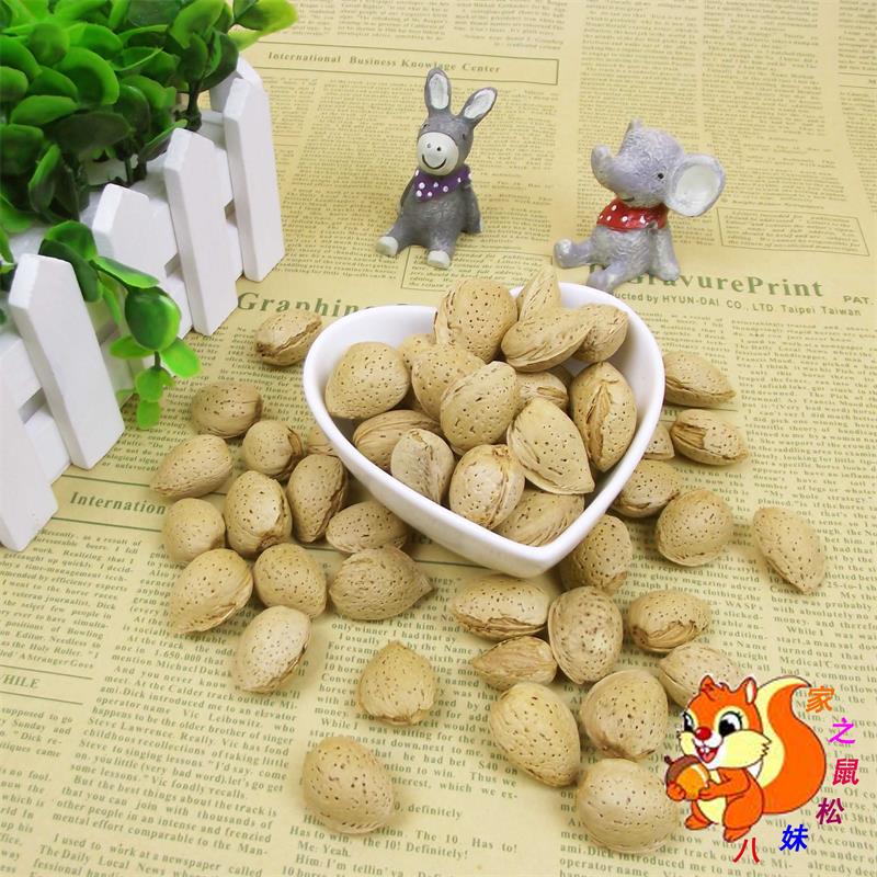Xinjiang Almond Bada wood squirrel Food foodstuff squirrel Devil Golden The snow 100 gramin the Pet/Pet food and supplies , Class pet hamsters and other small , Feed/Snacks category - from Buy2taobao.com to provide professional Taobao agent buy service