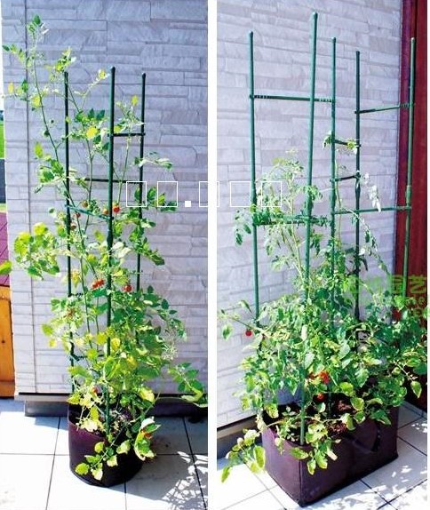 Two sets Plastic coated pipe Flower trellis brace Flower pot pillar Clematis Vegetables Bracket Climbing pillar Climbingin the Flower delivery/Flowers simulation/Plants gardening , Gardening supplies , Other Garden Supplies category - from Buy2taobao.com to provide professional Taobao agent buy service