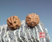 麒麟眼菩提子 龙眼 凤眼菩提  太阳子菩提 橄榄核雕 滴血莲花菩提