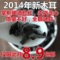 上下架计划:【特价猫】货必特东北黑木耳 野生特级秋木耳小碗耳 无根干货100g
