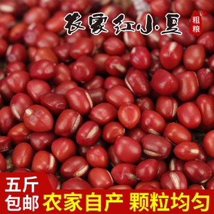 红小豆农家自产红豆，粗粮红豆粥原料，五谷杂粮小豆特产新货500g
