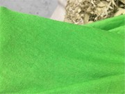 春夏秋季弹力纯棉莫代尔布料绿色连衣裙针织套衫面料免烫全棉T恤