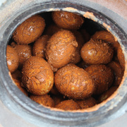 咸鸭蛋六安霍山农家自制麻鸭蛋土法手工黄泥巴腌制无油10枚装-熟