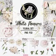 水彩唯美淡雅白色玫瑰花朵，婚礼请柬邀请卡片，psd+png设计素材
