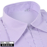 夏季女士工装短袖衬衫，紫色条纹职业免烫ol大码银行，工作服半袖衬衣