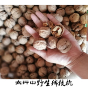 安阳林州太行山特产孕妇干果坚果老树绵核桃无漂白满5斤