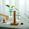 创意简约透明玻璃，木架水培花瓶桌面摆件，绿萝植物容器装饰品