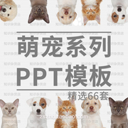 萌宠物系列PPT模板素材宠物医院行业猫狗小动物卡通可爱动态